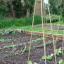 dscf-0764.jpg