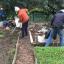 gardenworks-1.jpeg