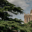 austin-dings-saint-marks-18.jpg