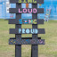 phoenix-festival-8-of-412.jpg