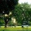 londonfields.jpg