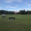 img-0073.jpg
