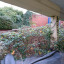 dsc-0010.jpg