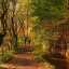 bottoms-mill-pic.jpg