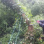 20160510-110957.jpg