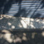 20150604-145923.jpg