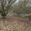 img-0511.jpg