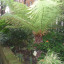 chesham-2.jpg