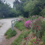 img-20210710-152515-353.jpg