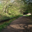 dsc-07113.jpg