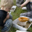 thomas-harrison-age-3-from-market-drayton.jpg