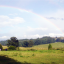 a-7180-c-9-b-bd-25-4954-8-f-69-ccadfe-29-fdc-0-xlarge-105-0147.png