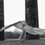 dsc-01586-1.jpg