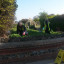 crocus-bed-2-2021-04-13.jpg