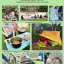 sprout-strong-parents-reaching-out-short-photo-overview-page-1.jpg