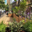 meristem-design-parklet-1.jpg