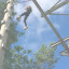 high-ropes.jpg