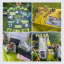 carnival-3.jpeg