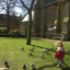img-8988.jpg