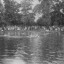 29-swimming-club.jpg