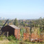 DSC_1050.JPG.jpg