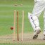 stx-cricket.jpg