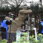 external-x-ray-imaging-of-the-leaning-woman-sculpture.jpeg