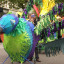 mao-bird-2.jpg