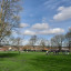 cricket-in-the-park.jpg