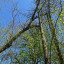 img-0460.jpg