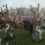 15-8-nov-white-ribbon-img-4248.jpg