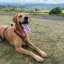 wally-photo.jpg