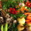 ecologically-grown-vegetables.jpg