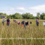 collecting-seed-5649.jpg