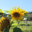 img-1742.jpg