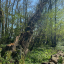 img-0459.jpg