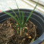 img-0729.jpg