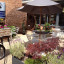 sunny-garden-pic.jpg