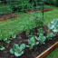 communitygarden.jpg