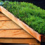 a-green-roof-on-a-shed-008.jpg