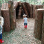 box-hill-5-ideal.jpg