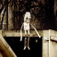 puppet-andre-braga-verissimo-1.jpg