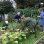 dscf-0808.jpg