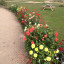 img-0907.jpg