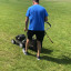 1909112-f-1-ab-0-4-af-5-a-9-c-4-5-ceaf-2-e-0-ec-91.jpeg