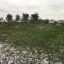 d-05-ba-644-6-c-44-4645-b-8-af-5939-d-04-d-6348.jpeg