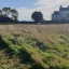 20201006-102157.jpg