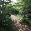 img-0703.jpg