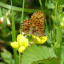 2013-05-wyre-23.jpg