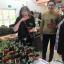 seedling-swap-woodford-greeners.jpg